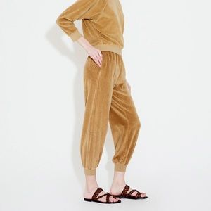 Suzie Kondi Velour Sweatsuit